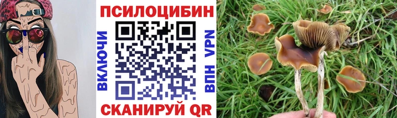 Псилоцибиновые грибы Cubensis  Магас 
