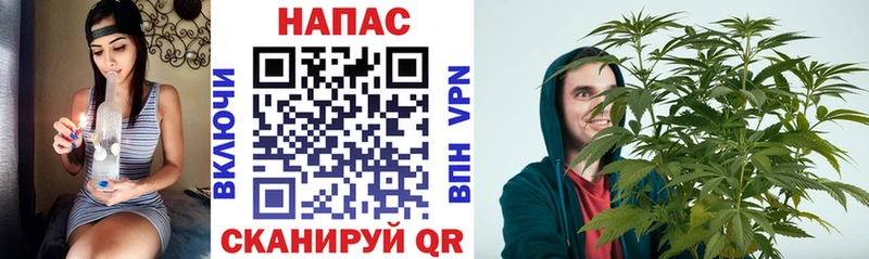 дарк нет телеграм цены Магас Конопля AK-47